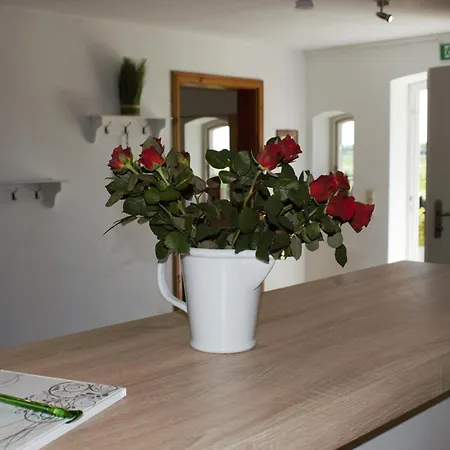 Apartment Ehemaliges Rio Reiser Haus Stadum