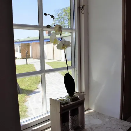 Ehemaliges Rio Reiser Haus